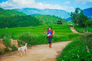 BIB: 
                            <button type="button" onclick="openModal(25042512)" class="btn btn-primary btn-sm float-right btn-popup" data-toggle="modal" data-target=".modal-high-quality">
                        <i class="fas fa-shopping-cart"></i> Add to Cart
                    </button>
                                            <button type="button" onclick="isThisMe(25042512, true)" class="btn btn-success btn-sm float-right btn-popup btn-isme hidden" data-toggle="tooltip" data-placement="bottom" title="นี่คือรูปของคุณใช่ไหม คลิกที่นี่เพื่อเอาเข้าอัลบั้ม">
                        <i class="fas fa-plus"></i> Add to album
                    </button>
                    <button type="button" onclick="isThisMe(25042512, false)" class="btn btn-warning btn-sm float-right btn-popup btn-isnotme hidden">
                        <i class="fas fa-ban"></i> Remove from album
                    </button>